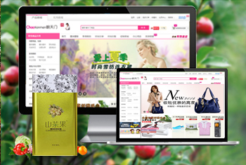 ���³������̳�